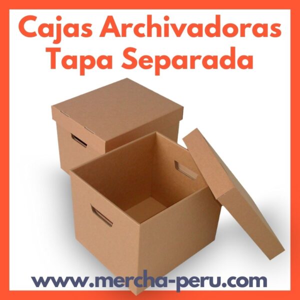 Caja Archivadora Tapa Separada 29x39x33