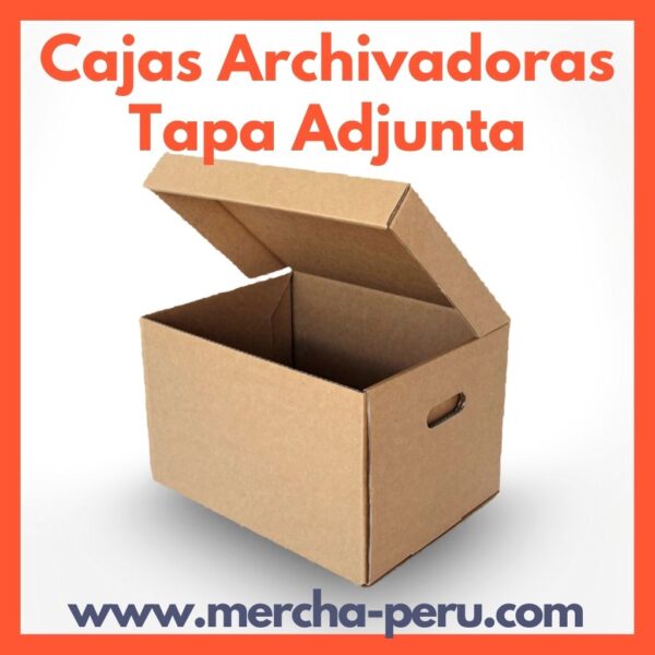Caja Archivadora Tapa Adjunta 33x49x38
